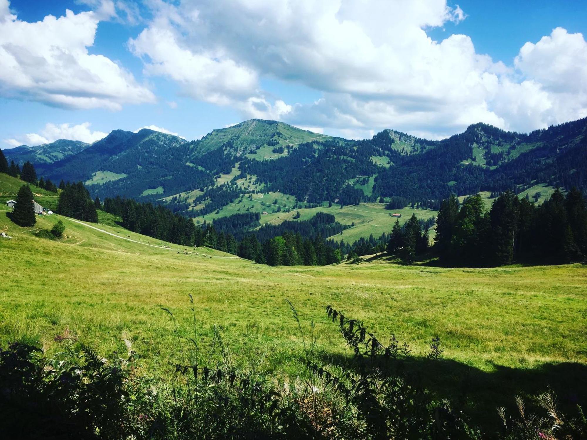 Ferienwohnung Sonneck Oberstaufen Bagian luar foto