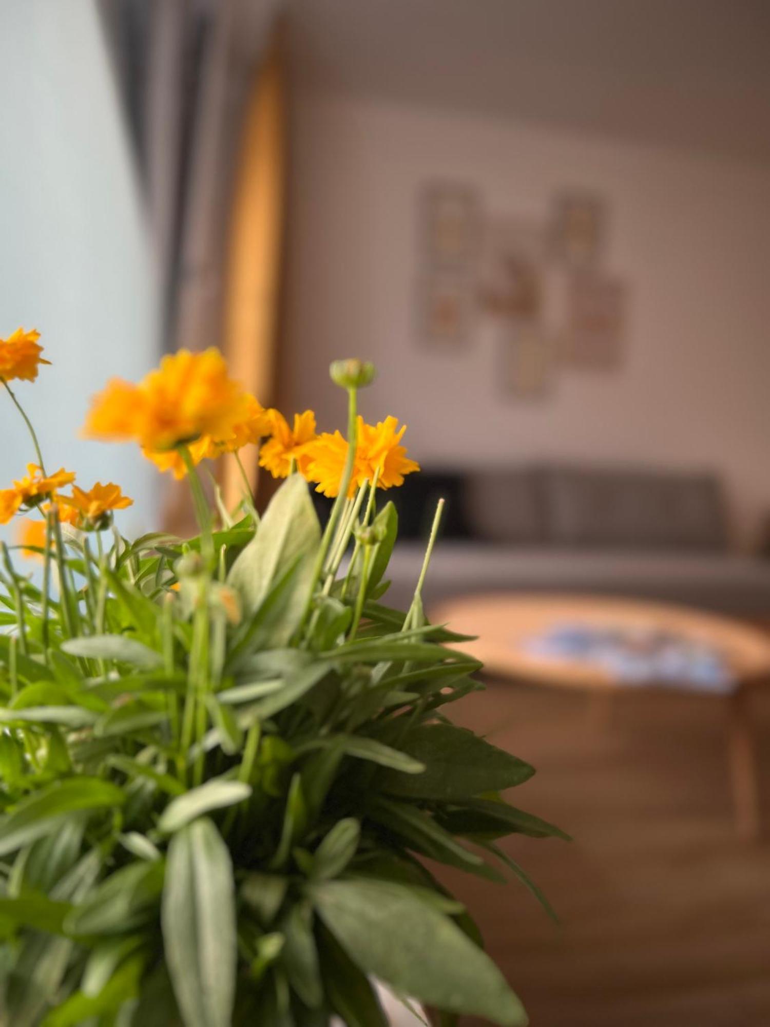 Ferienwohnung Sonneck Oberstaufen Bagian luar foto