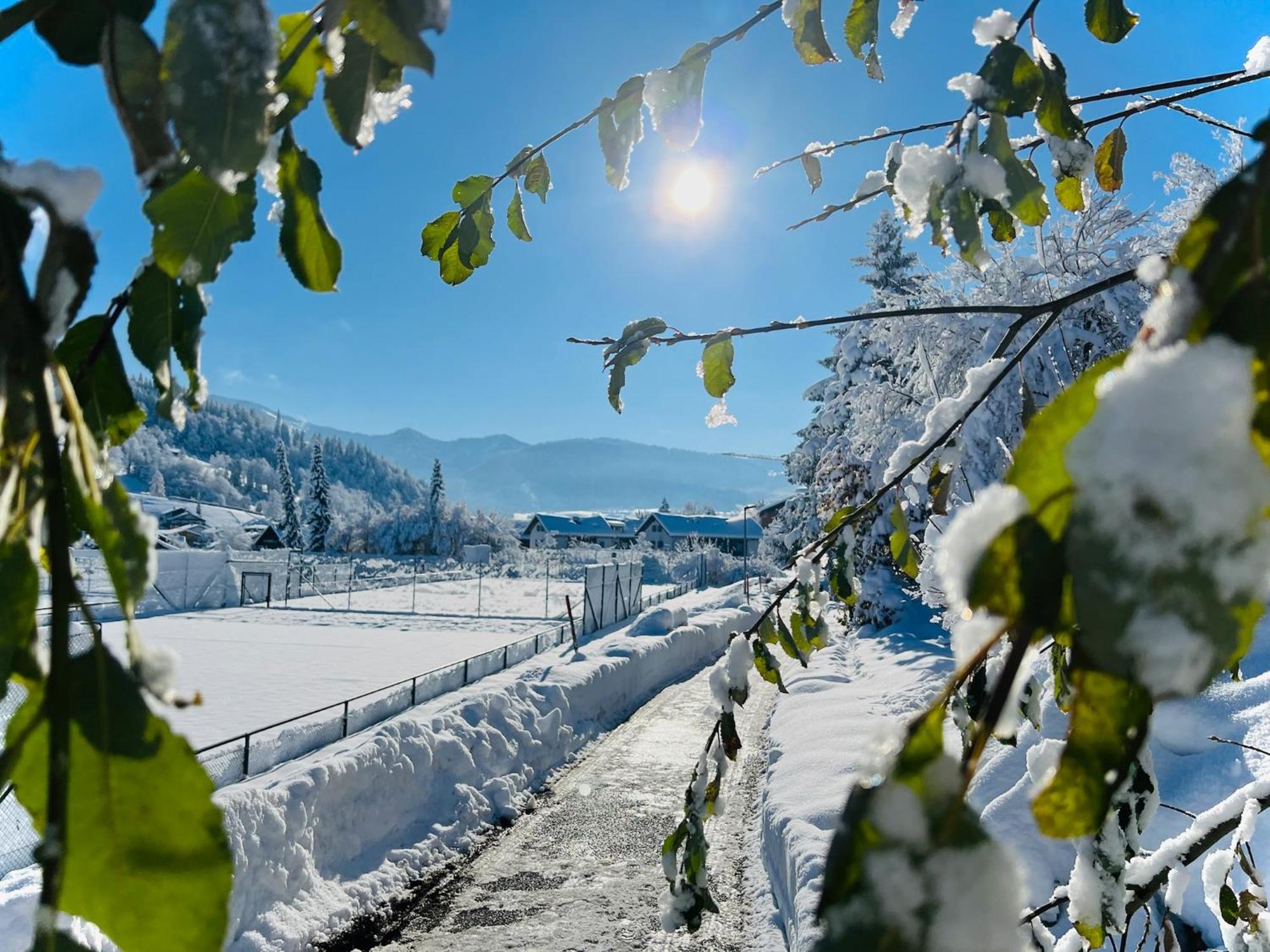Ferienwohnung Sonneck Oberstaufen Bagian luar foto